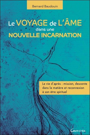 Le voyage de l'âme dans une nouvelle incarnation : la vie d'après : mission, descente dans la matière et reconnexion à son être spirituel - Bernard Baudouin