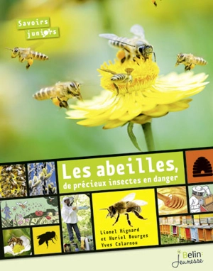 Les abeilles, de précieux insectes en danger - Lionel Hignard