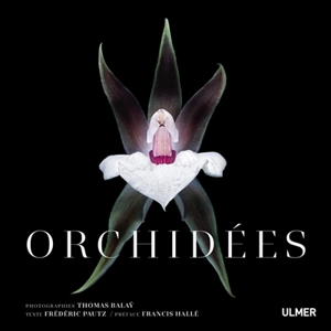 Orchidées - Frédéric Pautz