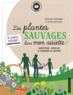 Des plantes sauvages dans mon assiette ! : identifier, cueillir & cuisiner la nature : 20 plantes sauvages comestibles - Caroline Calendula