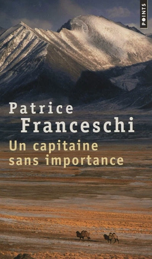 Un capitaine sans importance - Patrice Franceschi