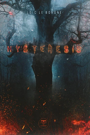 Hysteresis - Loïc Le Borgne
