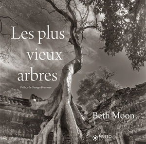 Les plus vieux arbres - Beth Moon