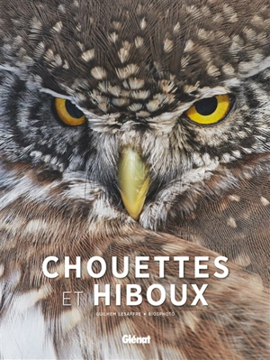Chouettes et hiboux - Guilhem Lesaffre