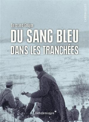 Du sang bleu dans les tranchées : expériences militaires de nobles français durant la Grande Guerre - Bertrand Goujon