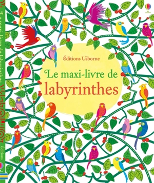 Le maxi-livre de labyrinthes - Kirsteen Robson