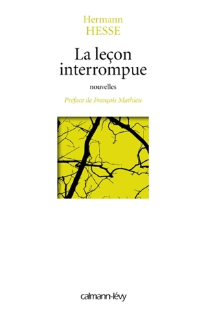 La leçon interrompue - Hermann Hesse