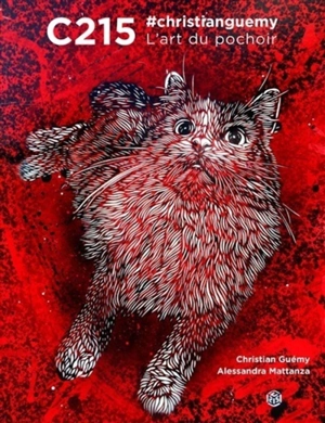 C215, #christianguemy : l'art du pochoir - C215