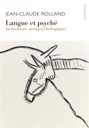 Langue et psyché : instantanés métapsychologiques - Jean-Claude Rolland