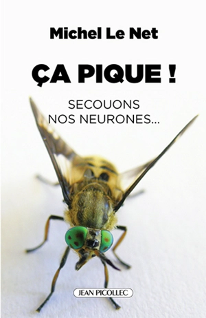 Ca pique ! : secouons nos neurones... - Michel Le Net