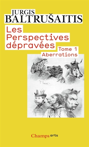 Les perspectives dépravées. Vol. 1. Aberrations : essai sur la légende des formes - Jurgis Baltrusaitis