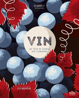 Vin : un tour de France des vignerons - lesgrappes.com