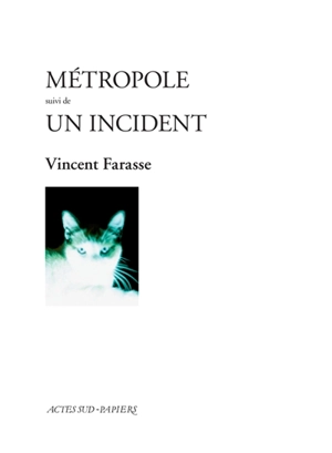 Métropole. Un incident - Vincent Farasse