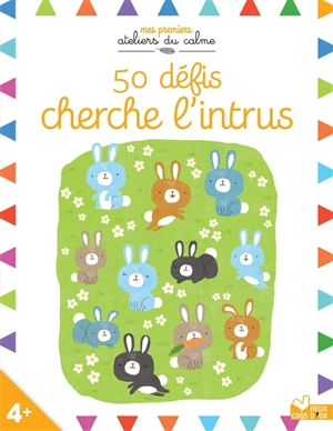 50 défis cherche l'intrus - Hazel Quintilana