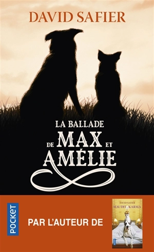 La ballade de Max et Amélie - David Safier