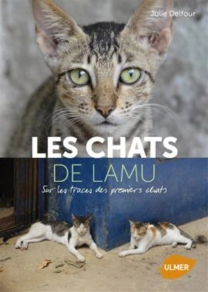 Les chats de Lamu : sur les traces des premiers chats - Julie Delfour