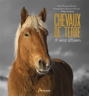 Chevaux de terre & vent d'hiver - François Barruel