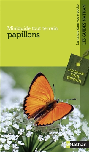 Papillons - Helga Hofmann