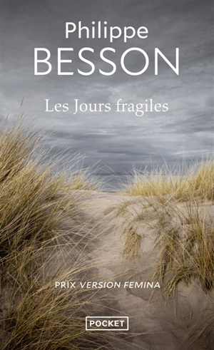 Les jours fragiles - Philippe Besson