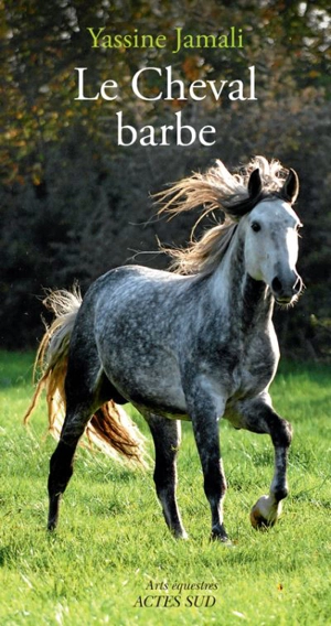 Le cheval barbe - Yassine Hervé Jamali