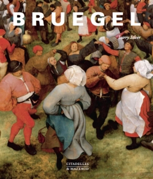 Bruegel - Larry Silver
