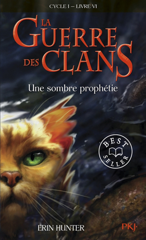 La guerre des clans : cycle 1. vol. 6. une sombre prophétie - Erin Hunter