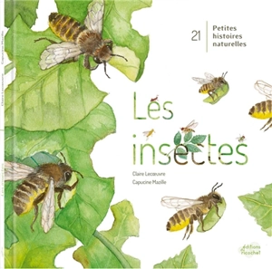 Les insectes - Claire Lecoeuvre
