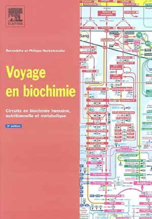 Voyage en biochimie : circuits en biochimie humaine, nutritionnelle et métabolique - Bernadette Hecketsweiler