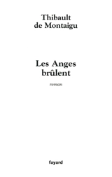 Les anges brûlent - Thibault de Montaigu