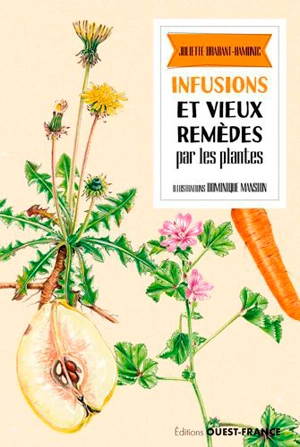 Infusions et vieux remèdes par les plantes - Juliette Brabant-Hamonic