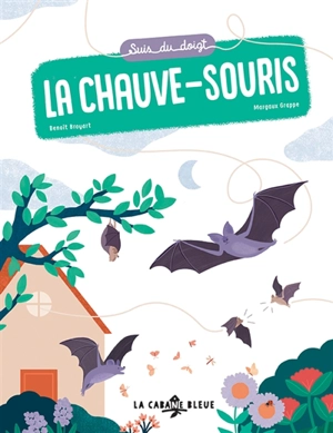 Suis du doigt la chauve-souris - Benoît Broyart