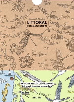 Littoral océan Atlantique : une affiche color & explore : découvrir la nature en coloriant - Emmanuelle Tchoukriel