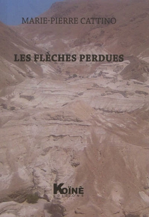 Les flèches perdues : théâtre - Marie-Pierre Cattino