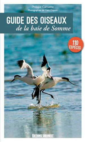 Guide des oiseaux de la baie de Somme : 110 espèces - Philippe Carruette