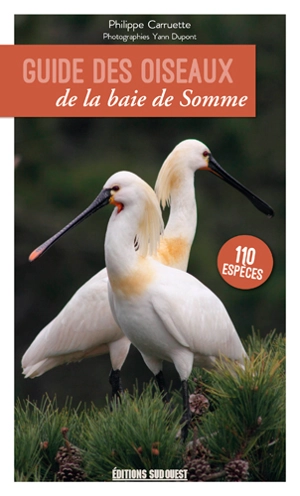 Guide des oiseaux de la baie de Somme : 110 espèces à découvrir, où les observer - Philippe Carruette