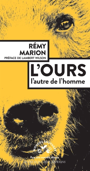 L'ours : l'autre de l'homme - Rémy Marion