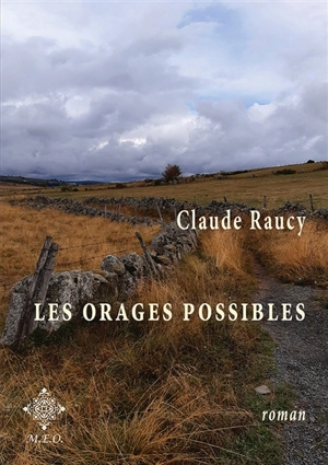 Les orages possibles - Claude Raucy