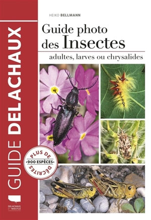 Guide photo des insectes : adultes, larves ou chrysalides - Heiko Bellmann