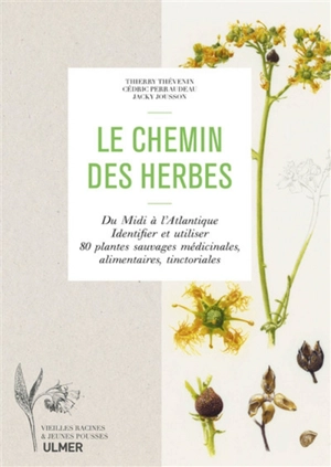 Le chemin des herbes : du Midi à l'Atlantique : identifier et utiliser 80 plantes sauvages médicinales, alimentaires, tinctoriales - Thierry Thévenin