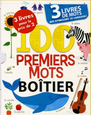 100 premiers mots : Boîtier - Anne Paradis