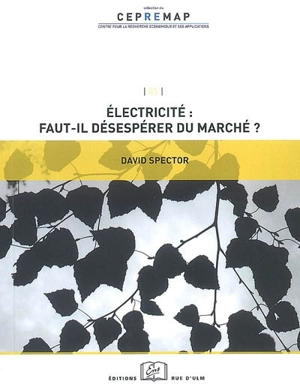 Electricité, faut-il désespérer du marché ? - David Spector