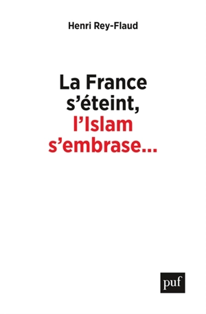 La France s'éteint, l'islam s'embrase... : réflexions sur un malaise - Henri Rey-Flaud