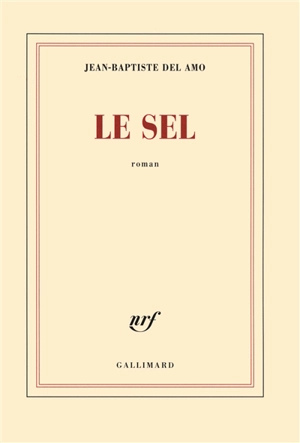 Le sel - Jean-Baptiste Del Amo