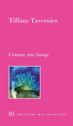 Comme une image - Tiffany Tavernier