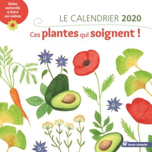 Ces plantes qui soignent ! : le calendrier 2020 : soins naturels à faire soi-même - Sylvie Hampikian