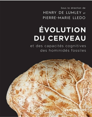 Evolution du cerveau et des capacités cognitives des hominidés fossiles : depuis Sahelanthropus tchadensis, il y a sept millions d'années, jusqu'à l'homme moderne