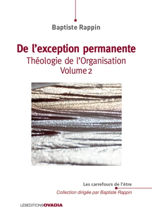 Théologie de l'organisation. Vol. 2. De l'exception permanente - Baptiste Rappin