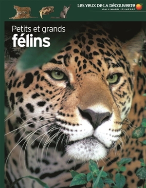 Petits et grands félins - Juliet Clutton-Brock