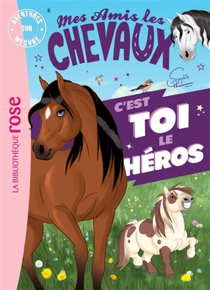 Mes amis les chevaux : c'est toi le héros - Sophie Thalmann