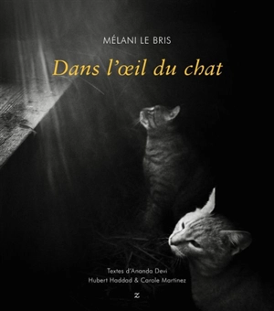 Dans l'oeil du chat - Mélani Le Bris